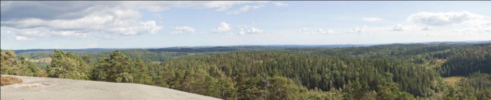 Figur 5-6 Utsikt østover fra Storemyr, nordvest for Vindvannsvannet, mot Vindsjåknuten. En kraftmast kan anes i horisontlinjen til høyre for toppen. Foto: Marius Fiskevold.