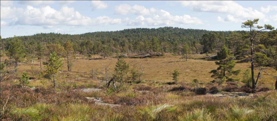 Av disse kan nevnes blant annet Heimdalsknuten (429 moh.), Brøvardheia (404 moh.) og Håstølknuten (429 moh) som alle er kjente turmål i området.