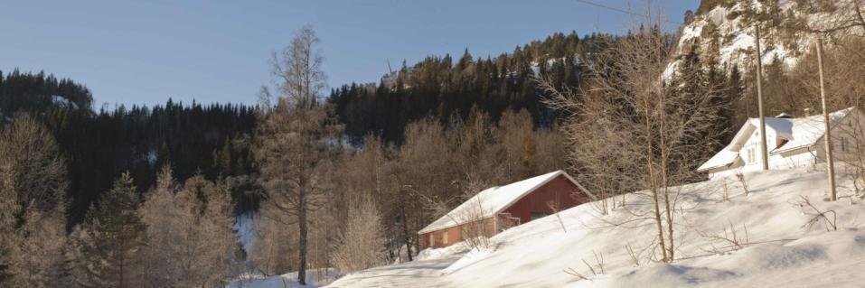 9. Eiendommen Dalen, gnr/bnr 112/5 Standpunktet ligger på eiendommen Dalane i Risdalen ca. 1,2 km øst for Bjelkeberg og 600 m øst for Oddeheia.