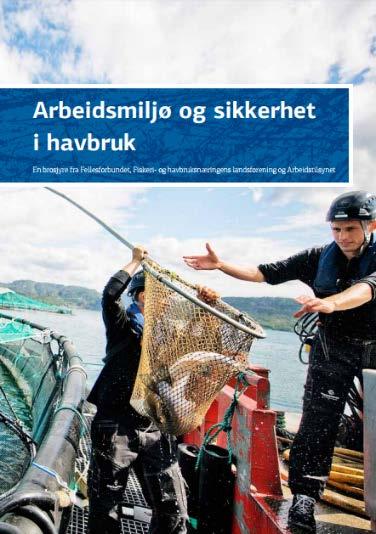 HMS Status Arbeidstilsynet regulerer Arbeidsplass og lokaler Arbeidstakermedvirkning, verneombud, risikovurdering, arbeidsinstruks, helse, personlig verneutstyr Støy, vibrasjoner, stråling,