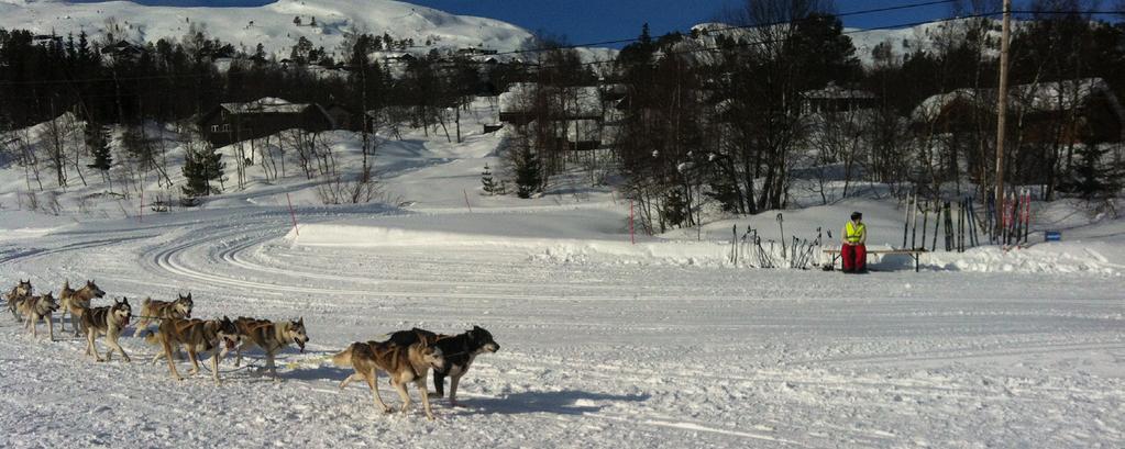 Aktive dager på Kvamskogen arrangeres av kulturkontorene og Idrettsservice i Bergen kommune og foregår på området ved Furedalen alpinsenter. Allerede nå kan du melde deg på!