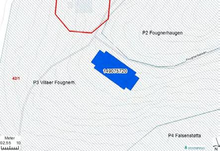 BYGNING 4767 Palmyra (Fougnerbakken 18-20) Bygnings- og eiendomsdata Ansvarssted/etat: GAB nr: 149075720 Gnr/bnr: 42/1 Oppført: 1898-1899 Byggherre: Arkitekt: Opprinnelig funksjon: Nåværende