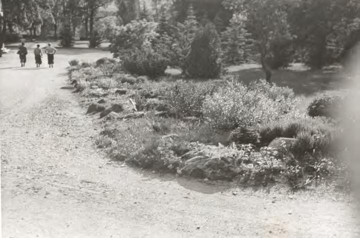 bakgrunnen. Foto: M. v. Essen, 2006.