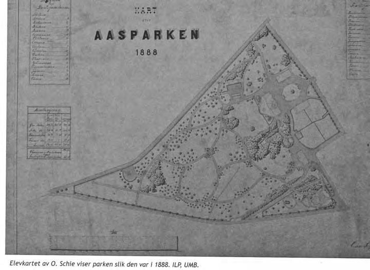 Siktaksen mot Tårnbygningen.  Situasjonsplan 1888.