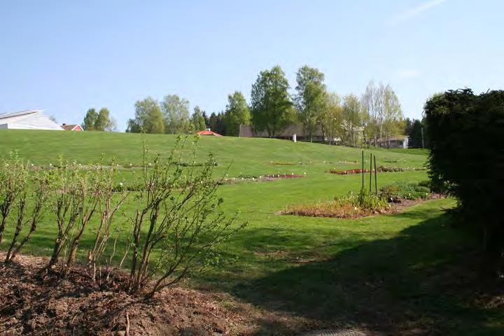 Foto: M. v. Essen, 2006. Flyfoto over Planteskolen, ca. 1950.