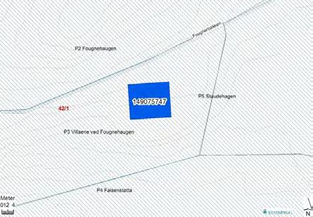 BYGNING 4768 Lindemannhuset (Fougnerbakken 16) Bygnings- og eiendomsdata Ansvarssted/etat: GAB nr: 149075747 Gnr/bnr: 42/1 Oppført: 1899 Byggherre: Arkitekt: Opprinnelig funksjon: Nåværende funksjon: