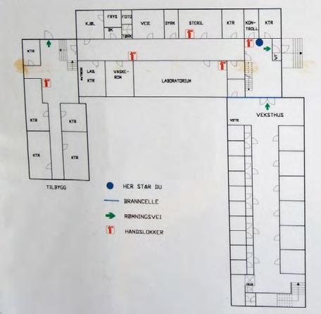 klimalaboratorium, planteskolen og alleen langs