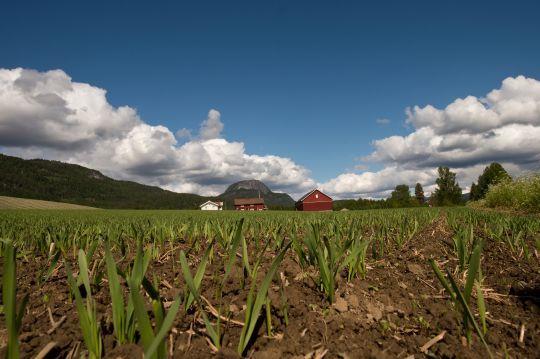 11 Det er et mål å ta var på god matjord, men det må balansere mot storsamfunnets behov.