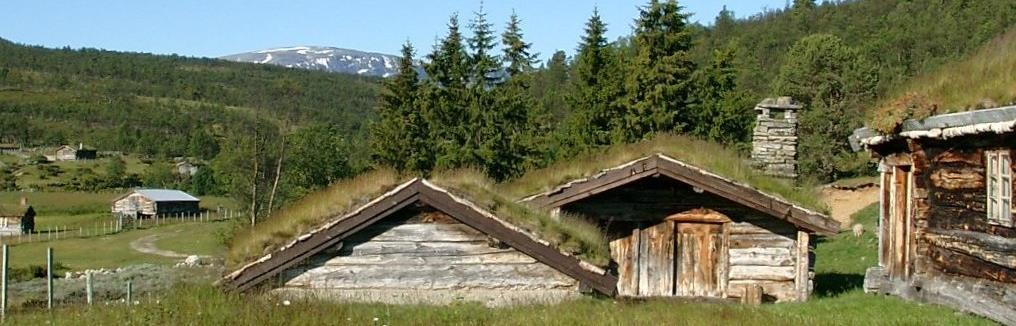 Fylkesmannen i Sør-Trøndelag Takk for oppmerksomheten! Planlegging er spennende.