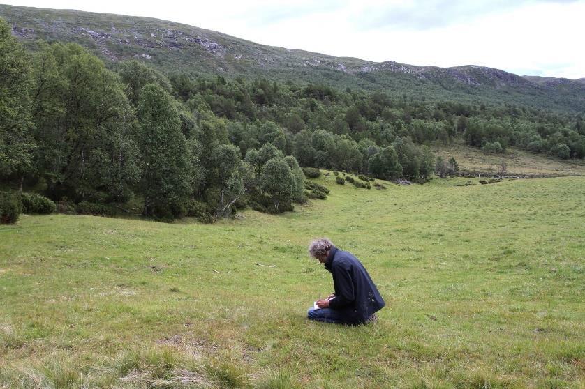 Naturbeitemark med fine tørrbakker i det