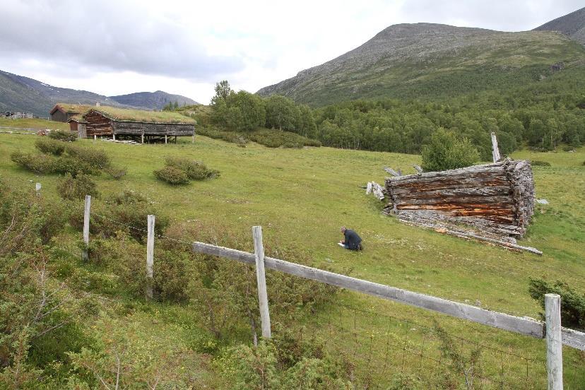 Ølstadsetra med den gamle Ølstadlåven til