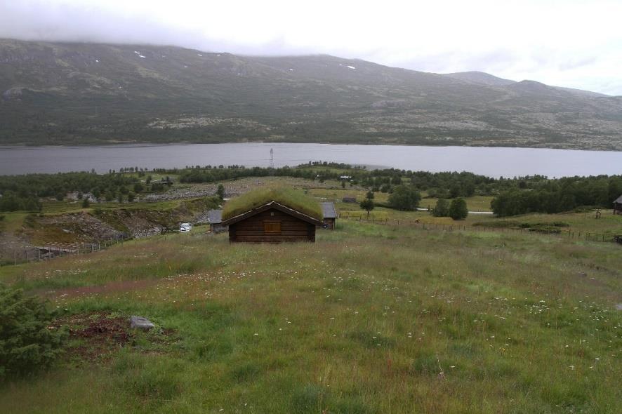 Sjong ID: BN00081019 Systugu Nestande, Ulateigslykkja og Nørdre Ulateig Seterkve kartlagt som naturbeitemark (D04). Sjå lokalisering på figur 3.