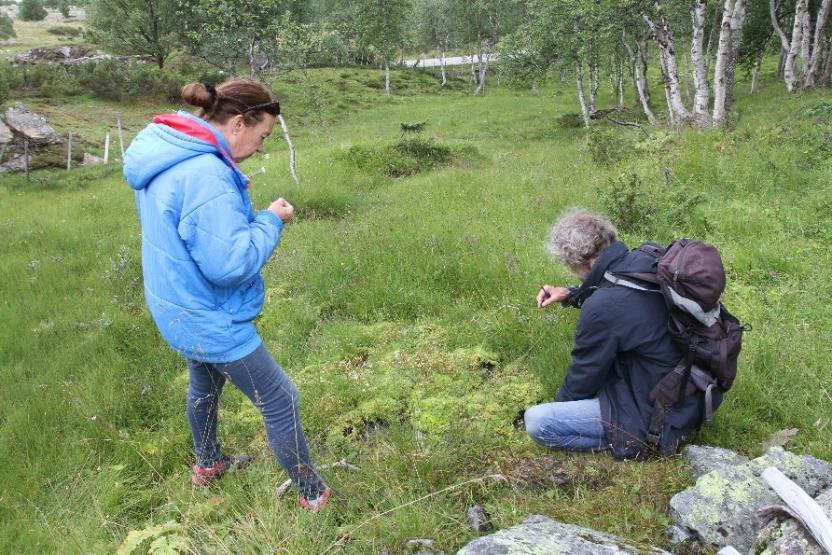 2007 (Gaarder & Jordal, 1996), og hadde da mellom anna verdigrunngjevinga: «Sterkt varierende fuktighetsforhold, baserik vegetasjon med krevende arter.