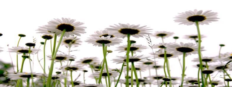 Sommer 2018 Aubeberget Barnehage Det går mot sommer og ferietid! Personalet skal planlegge ferie (de har i følge ferieloven krav på å vite når tid innen 1.