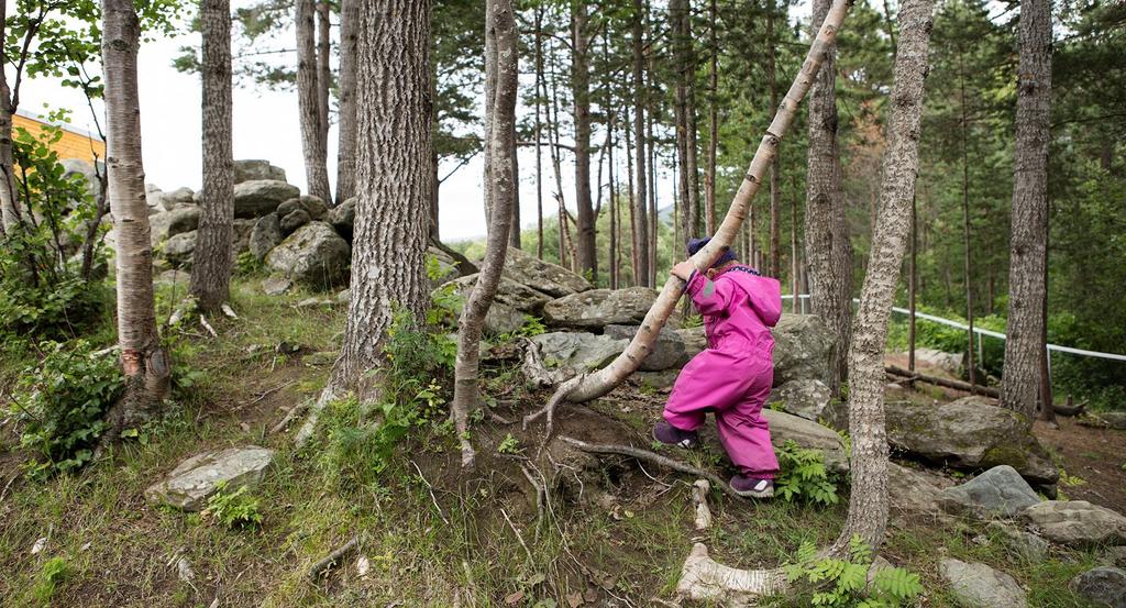 Barnehagen har opparbeidet seg flere flotte naturlekeplasser i nærheten av barnehagen, som vi benytter mye gjennom hele året.