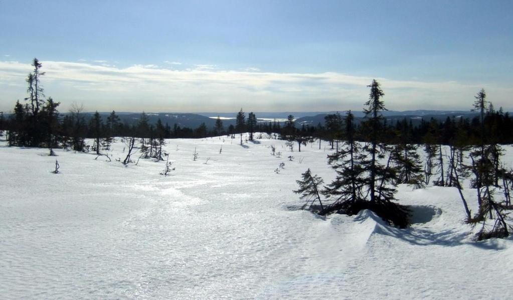 Vi står selvfølgelig friere når vi snakker internt, men heller ikke da er det fritt fram. Før het det at vi skulle si ti hyggelige ting for hver gang vi kom med kritikk.