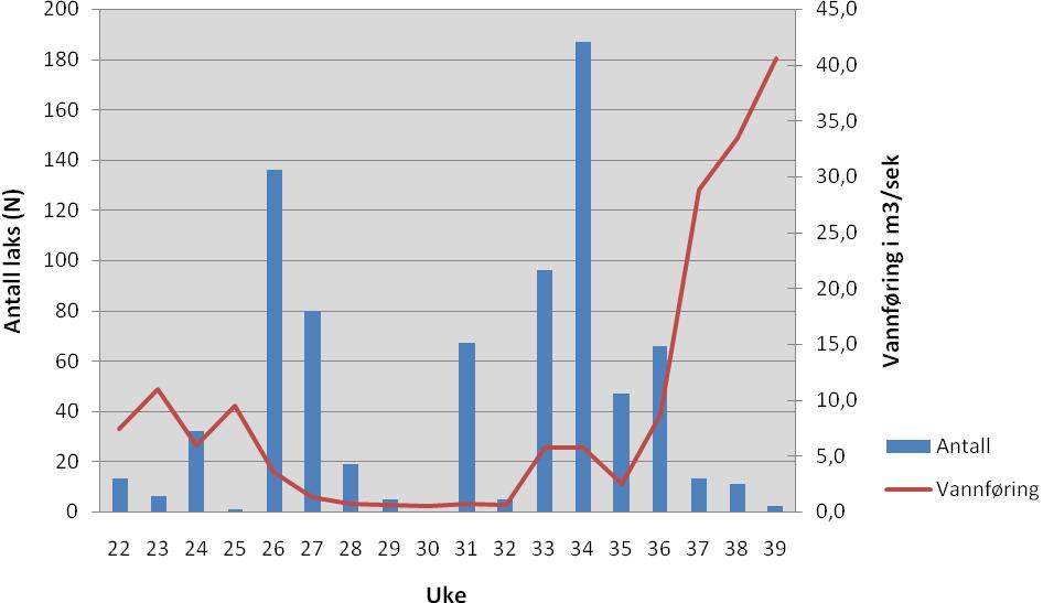 3. Resultater Fisketrappa i Berrefossen ble åpnet 21. mai. Tellesystemet for laksefisk startet samme dato og var operativt fram til 25. september. I perioden 13. juni - 23.