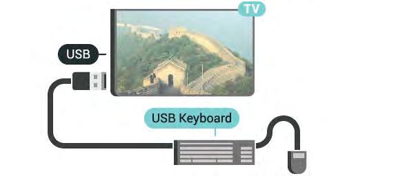 Koble til Koble til et USB-tastatur (USB-HID-type) for å taste inn tekst på TVen. Du kan koble et tastatur og en mus til TVen. Bruk en av USB-tilkoblingene for å koble til. 4.