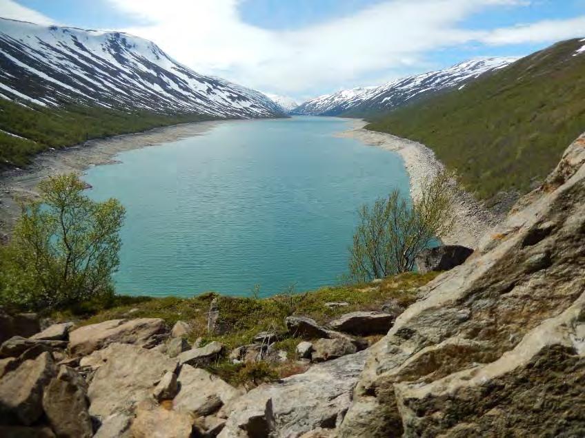 Magasinfyllingen var derfor tregere enn normalt på ettersommeren og høsten. Dermed ble magasinene bare delvis fylt, eller fylt på et senere tidspunkt enn normalt.