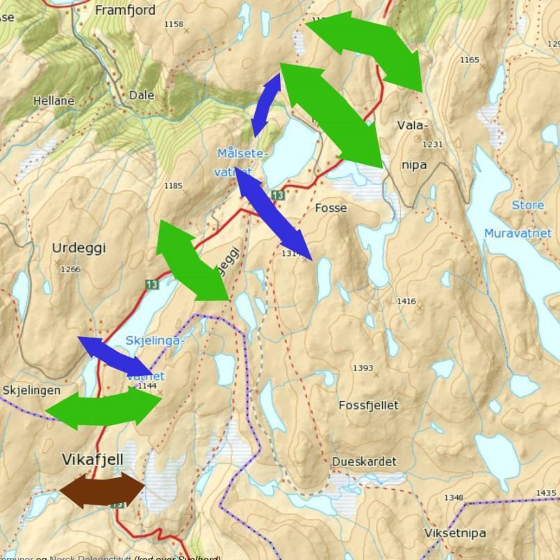 trekkområda nord og sør for Skjelingavatnet trekt fram som svært viktig (Jordhøy 2013). Om vinteren kan høge brøytekantar vera ei hindring for reinen i å koma seg over vegen. Figur 2.