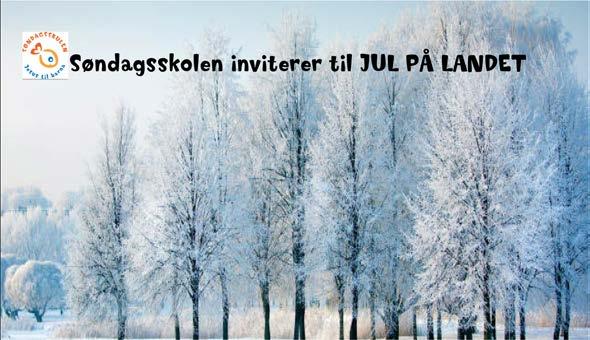 Jul på landet I fjor arrangerte vi i søndagsskolekretsen Jul på landet i Skjold i desember. Det blir IKKE et lignende arrangement i år, men vi kommer sterkere tilbake i 2018.