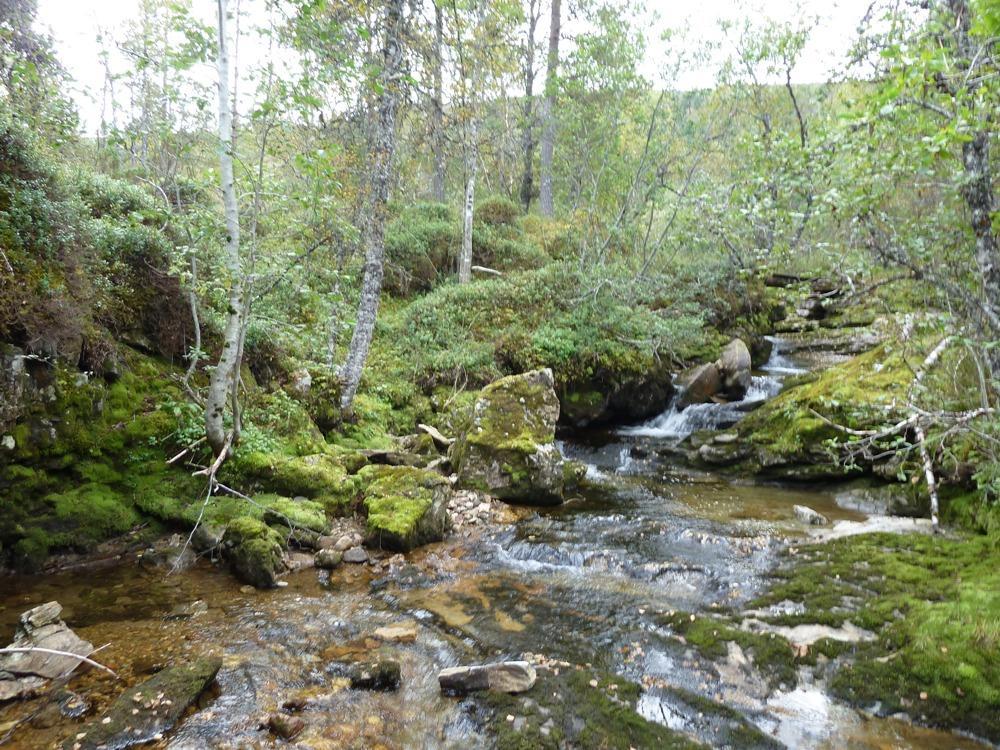 Middelvannføringen ved inntaket er ca 0,65 m³/s i begge elvene.