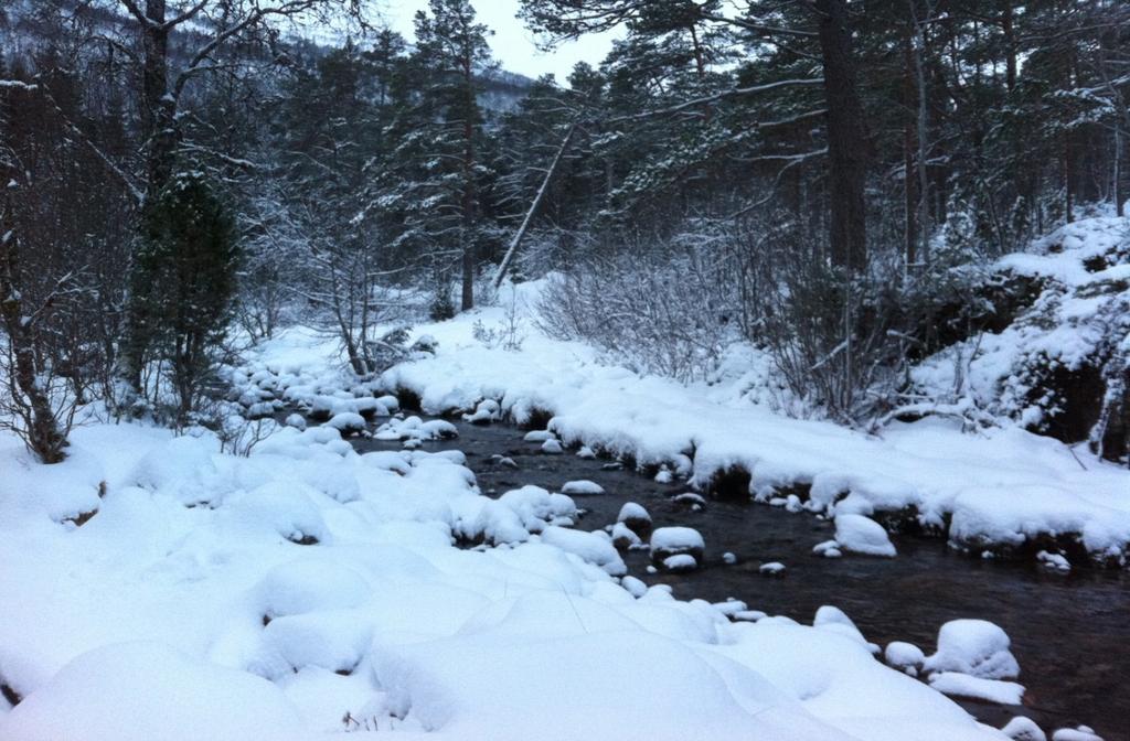 Vedlegg 6: Konsesjonssøknad Gosland