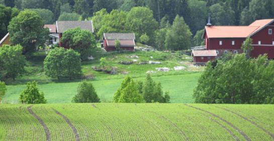 Hvorfor var en videreføring av samvirkebasert markedsbalansering i kornsektoren viktig?