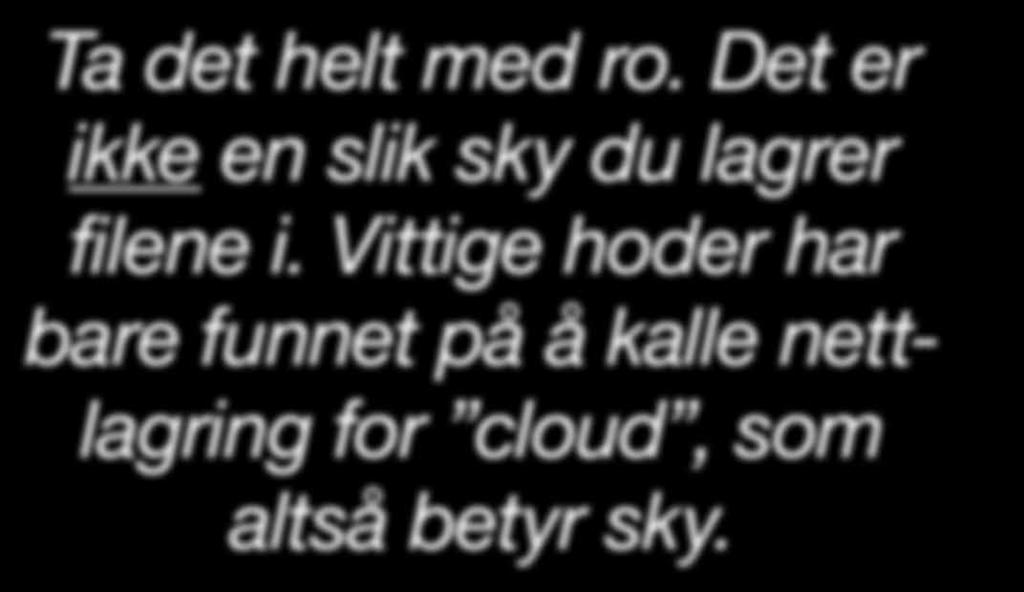 for deg helt gratis. Det er jo neppe gratis for bedriftene å investere i harddisker, tjenere og raske internettforbindelser, slik at du har tilgang til filene hele døgnet, året rundt.