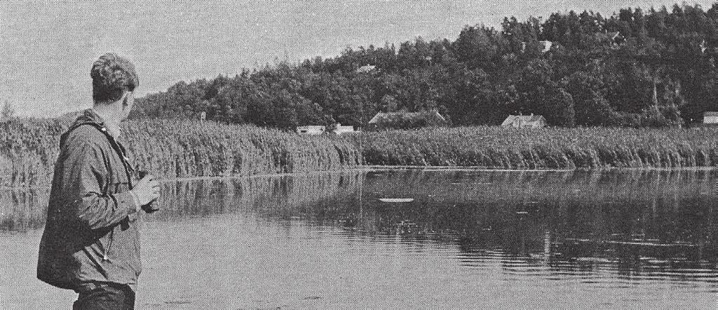 Etter henvendelse fra Østlandske naturvernforening, utarbeidet naturvernpioneren Magnar Norderhaug i 1967 et forslag om å opprette et naturreservat i Presterødkilen.