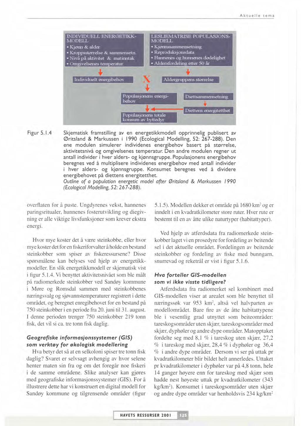 Aktuelle tema Figur 5.1.4 Skjematisk framstilling av en energetikkmodell opprinnelig puolisert av Øritsland & Markussen i 1990 (Ecological Modelling, 52: 267-288).