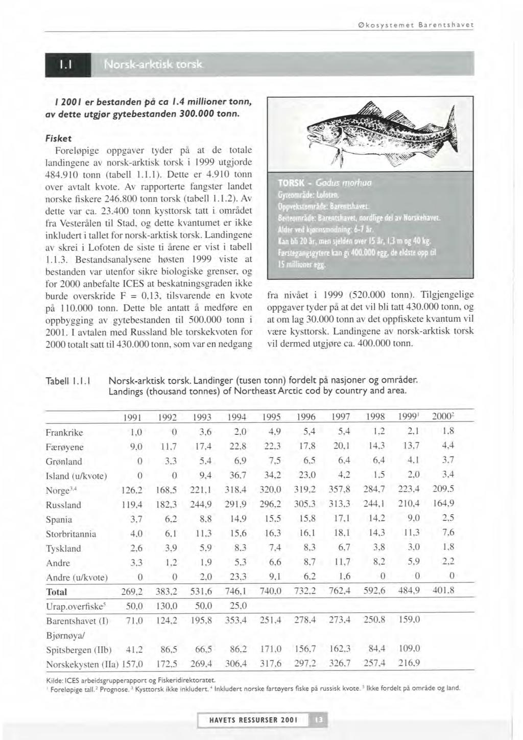 Økosystemet Barentshavet I Norsk-arktisk torsk 1 2001 er bestanden p6 ca 1.4 millioner tonn, av dette utgigr gytebestanden 300.000 tonn.