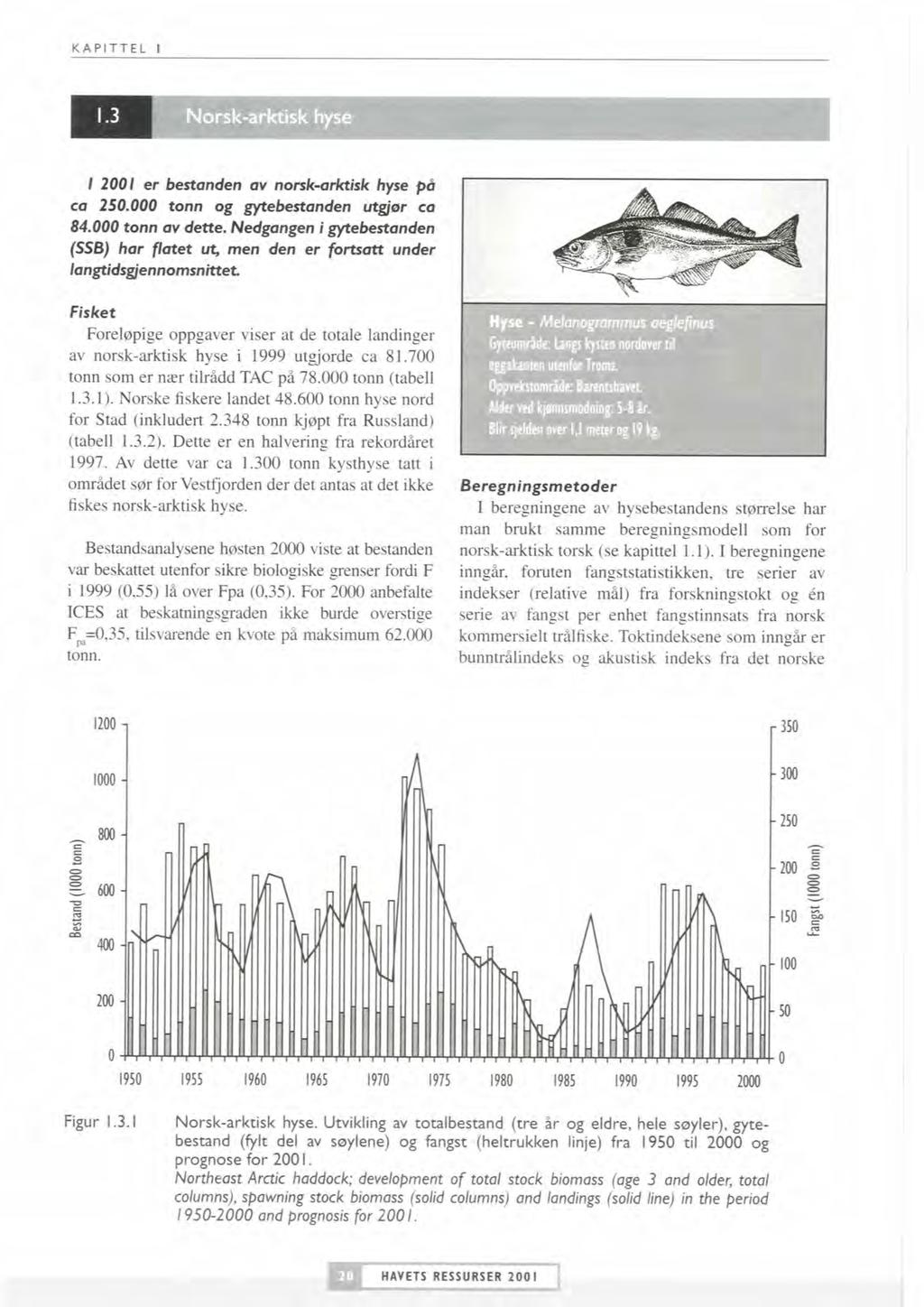 KAPITTEL I Norsk-arktisk hyse I 1 2001 er bestanden av norsk4rktitk hyse på ca 250.000 tonn og gytebestanden ca 84.000 tonn av dette.