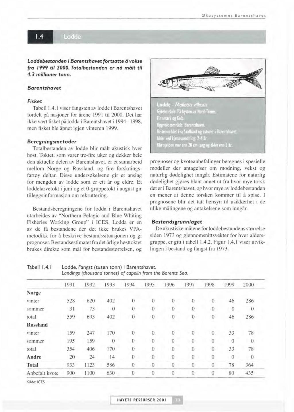 Økosystemet Barentshavet Lodde Loddebestanden i Bamntshavet fortsatte 8 vokse fi<i 1999 til 2000. Totalbestanden er n8 m6/t til 4.