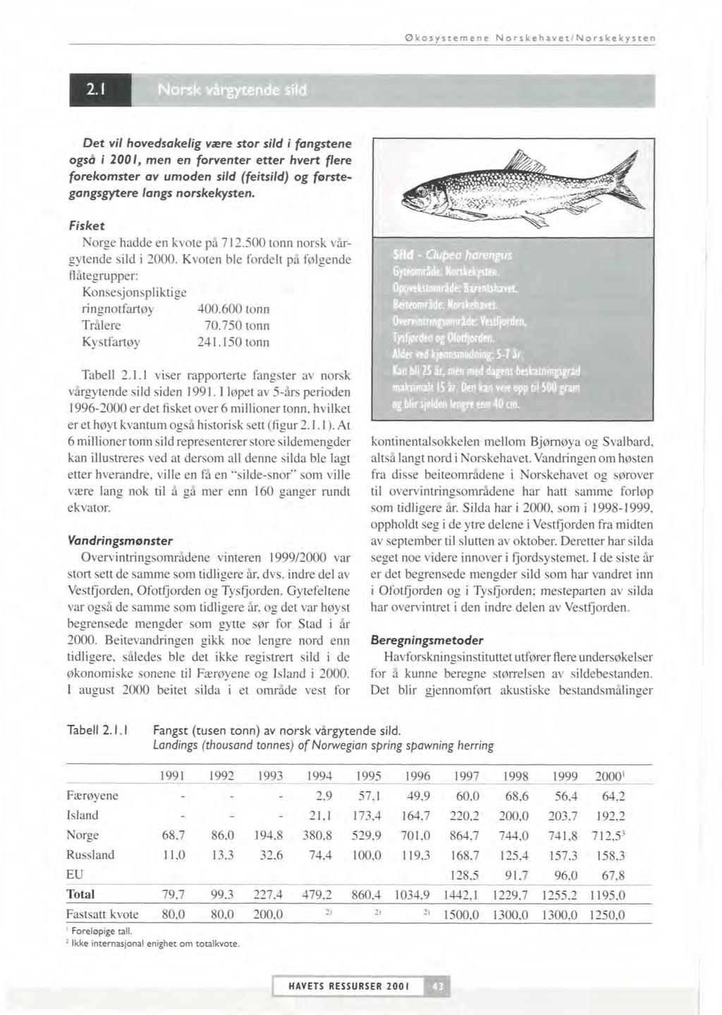 Økosvstemene NorskehavetlNorskekvsten Norsk vårgytende sild Det vil hovedsakelig viere stor sild i fangstene også i 2001, men en forventer etter hvert flem forekomster av umoden sild (feitsild) og