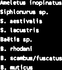 - Aiiphl-a ap.. -.. - 2. A. borealia......... h... - A. aulclcollia 3. 2-1 0 1 1 - - 