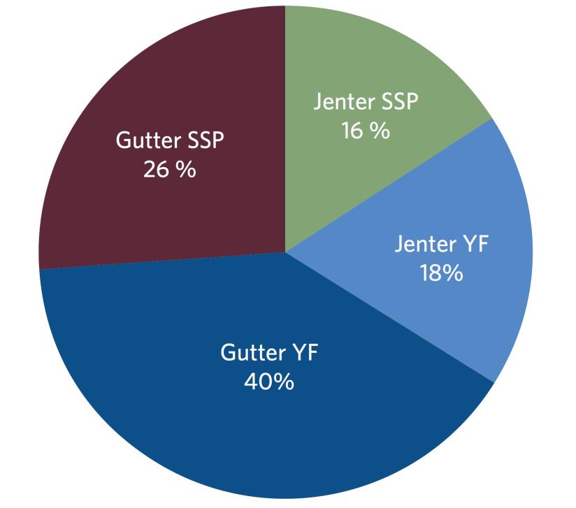 En liten gruppe skiller seg ut Hvorfor er det flest yrkesfagelever her?