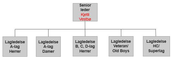 5.8 Seniorleder Navn på lagledelse se VBK hjemmeside Figur 12-5 Organisasjonskart for senioravdelingen Seniorleder: Er medlem av sportslig utvalg Er avdelingsleder for senioravdelingen Skal lede