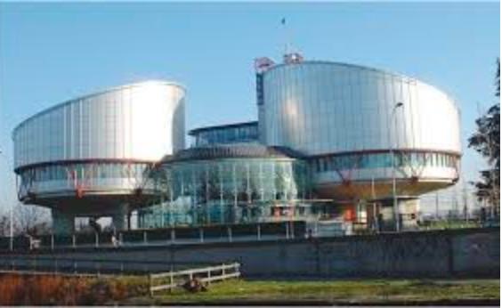 Den Europeiske Menneskerettighetsdomstolen Adopsjonsdommen fra 2007 behandlet i Strasbourg.