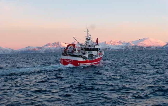 59 Reker (Pandalus borealis) Det ble fisket og omsatt 17.600 tonn reker i Norges Råfisklags distrikt i 2014, inkludert 7.101 tonn fra utenlandske fartøy. Dette er en oppgang på 5.700 tonn fra 11.