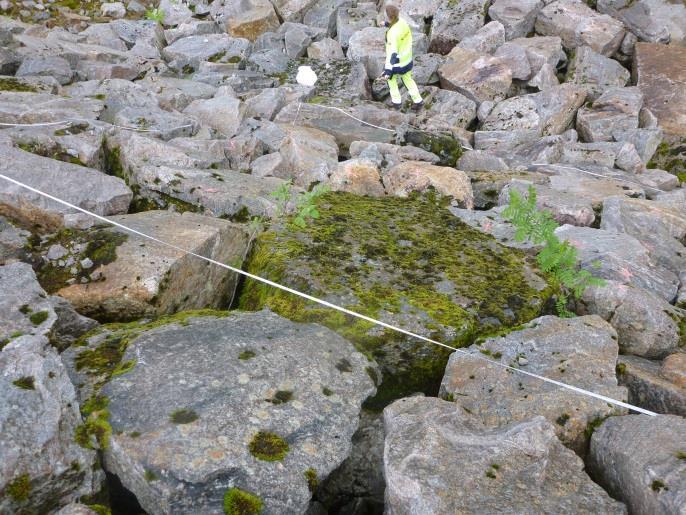 Siden denne plastringen ikke er så høy ble det lagt opp et felt som var 20x5 meter. Dette for å unngå å komme for høyt opp i kronevernet.