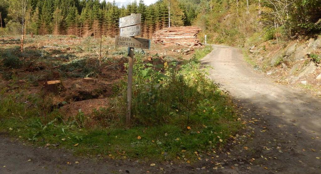 4.6 Hellersdalen Registreringskategori: Friluftsområde, veg- og stinett for gående og syklende og Identitetsskapende områder/elementer.