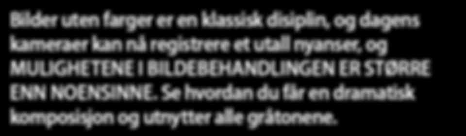 Den amerikanske fotograflegenden Ansel Adams Her lærer du: Å ta bedre kunne som få bilder. frembringe alle gråtoner i sine storslåtte landskapsbilder.