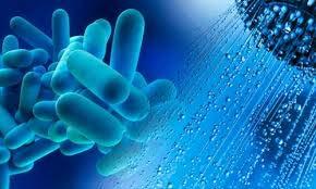 Legionella Vanndråpebakterie (dusjer, boblebad, kjøletårn) Bakterien smitter ikke fra person til person.