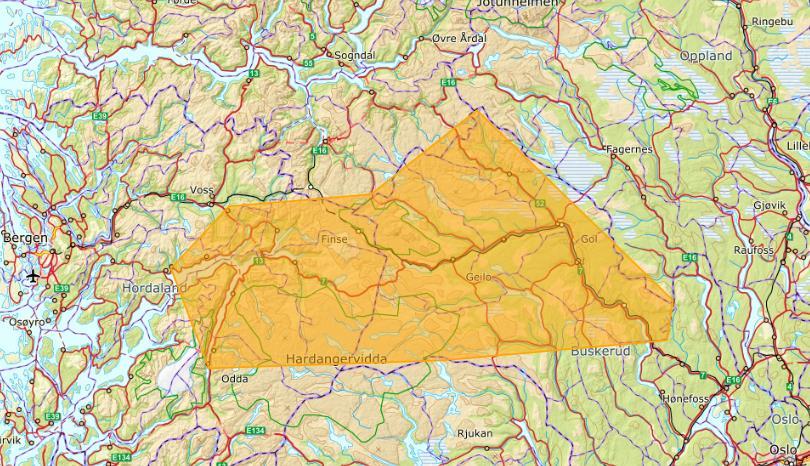 Film Fjord, Fjell og Vidde skal i fyrste fase: - Utvikle eigen nettstad - Finne fram til aktuelle lokasjonar som skal presenterast med relevant informasjon og bilde på nettstad - Etablere kontaktnett