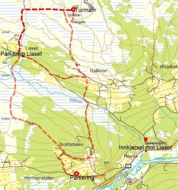 10 Gribbe - Tisleidalen 1057 moh Kjørebeskrivelse: Fra E16 ta av Fv 51 mot Gol. Følg veien til du ser Tisleidalen kirke, og ta av til høyre til Liaset.