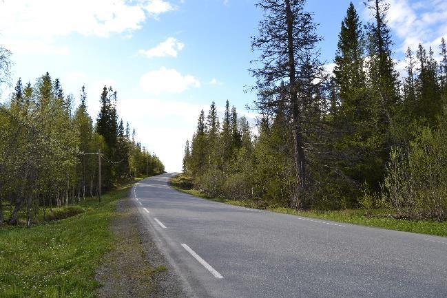 Det er viktig at lyspærene blir skiftet ved behov, slik at det ikke oppstår «mørke» områder som kan føre til farlige situasjoner. 8.