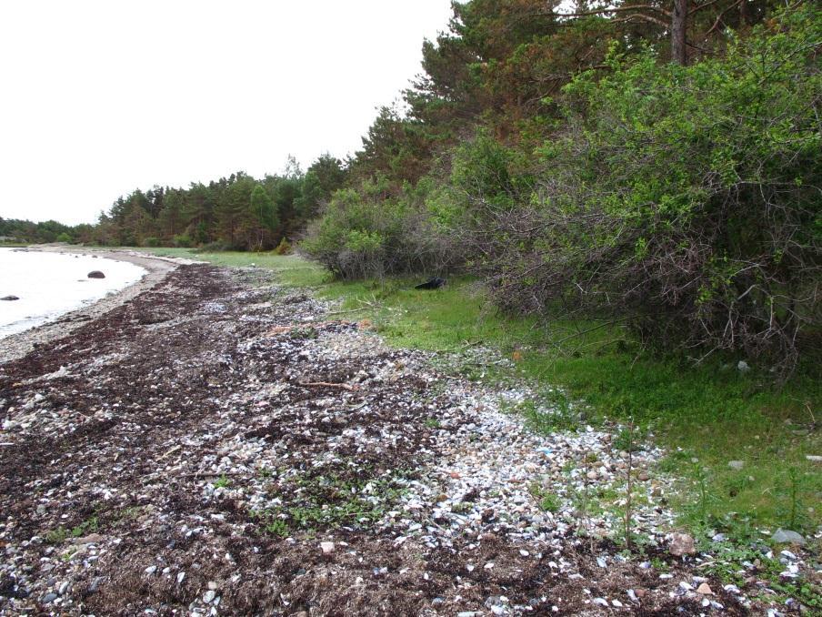 Det ene ligger i tilknytning til gårdsbruket og strekker seg sør og østover. Det er stort og varierer fra fukteng til tørreng, med innslag av en del gråselje- og slåpetorn-kratt.