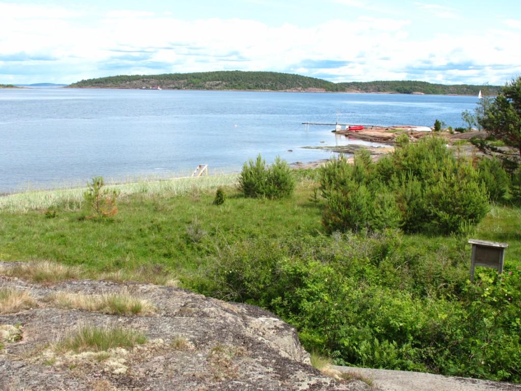 Oppdragsgiver er Nøtterøy kommune. Befaringen ble gjort av Ulrika Jansson fra BioFokus. Beliggenhet og naturgrunnlag: Lokaliteten ligger i en vik på nordre delen av Gåsøy.