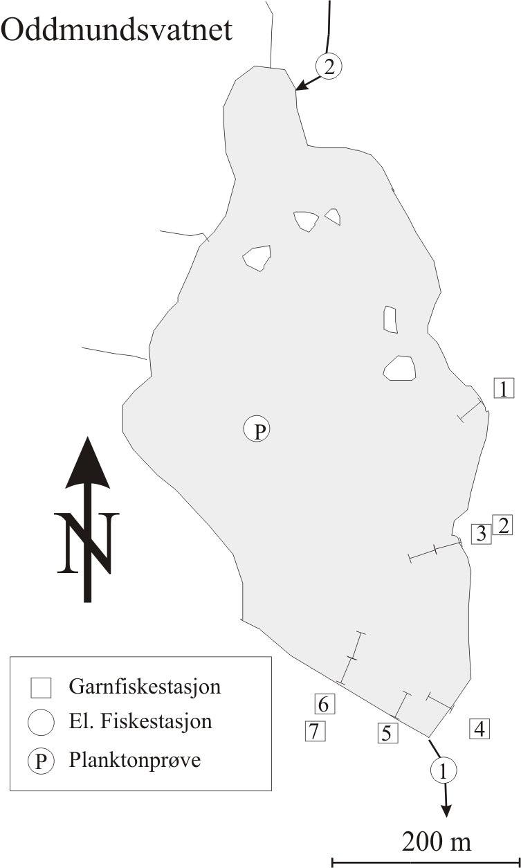 1 ODDMUNDSVATNET I BALESTRAND INNSJØEN Oddmundsvatnet (innsjø nr. 29957) ligger i Saurdalsvassdraget (79.22) i Balestrand kommune, 841 moh. Innsjøen har et areal på,14 km².